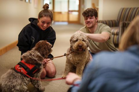 UNH students with therapy dogs